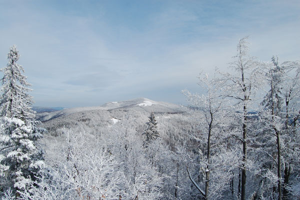 Mogielica. Fot. Ł. Kajtoch