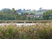 Wodziłki Molenna