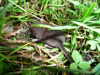 P1070978
