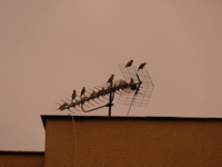 P1030478