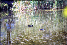 Image034