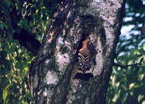 Ue_062009
