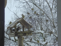 Dsc07530