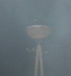 Img_2025_resize