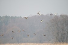 Img_1050