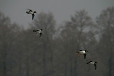 Img_1000