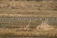 Img_1112