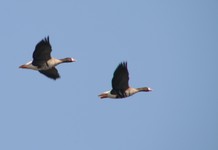 Img_1308