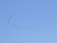Dscf6175_