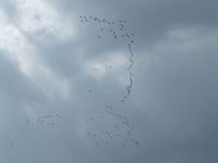 Dscf6286
