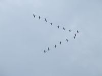 Dscf6287