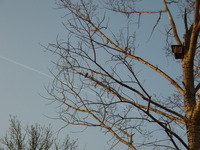 P4050027