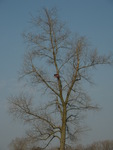 P4050038