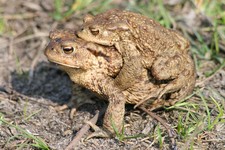 Img_1696