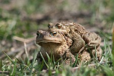 Img_1708