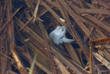 Img_2086_1
