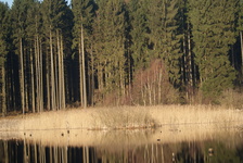 Biesiekierz_3.04._09__146_