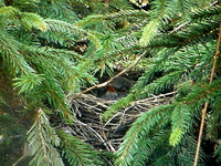 P3283939