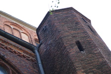 Podczele_i_pustu_ki._3.05._09_215