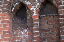 Podczele_i_pustu_ki._3.05._09_260
