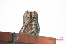 Is_img_0804