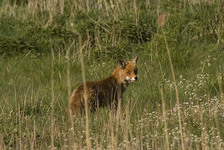 Imgp5446sm