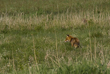 Imgp5442sm