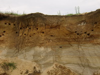 P6210009