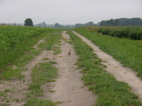 P6260015