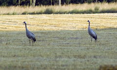 Imgp7624sm