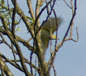 Imgp7712sm
