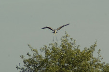 Imgp7675sm