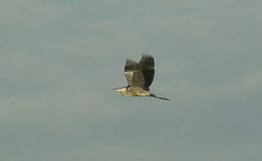 Imgp7672sm