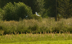 Imgp7686sm