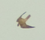 Imgp7644sm