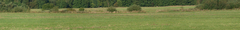 Panoramka
