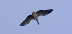 Imgp7899sm