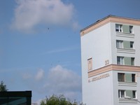 Jezio_owicza_23_jerzyki_b