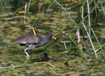 Img_5805