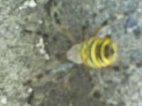 Dsc00086