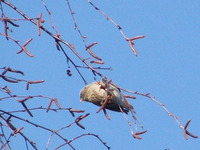 Dscf2673