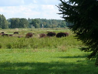 P1090083