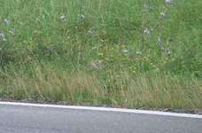 2009_0904mb0695