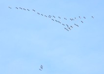 Img_5562