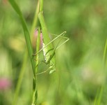 Img_2970