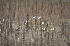 Img_6190