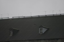 Pustu_ka3