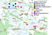 Mapa_obserwacji___obszar_natura_2000_dolina_omulwii_i_p_odownicy___04.03.2010