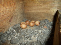 27.05.2009_l_g_pustu_ki_budka_nr2_02__stanin