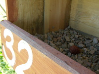 01.05.2009r.leg_pustu_ki_w_budce_nr5_32_